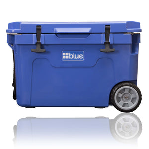 Blue Coolers 20% off Link