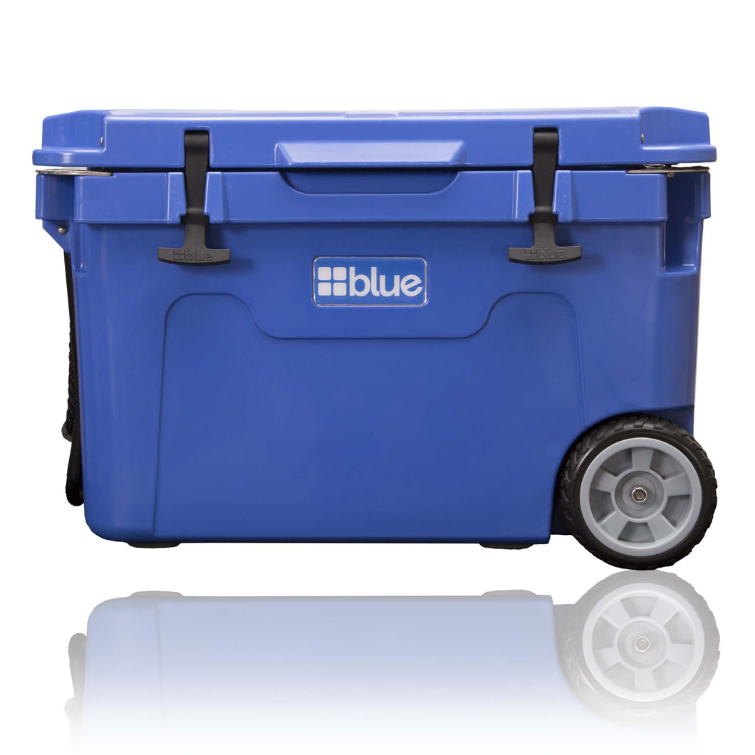 Blue Coolers 20% off Link